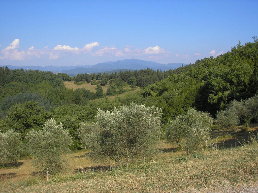 Podere Capitignano Borgo San Lorenzo Εξωτερικό φωτογραφία